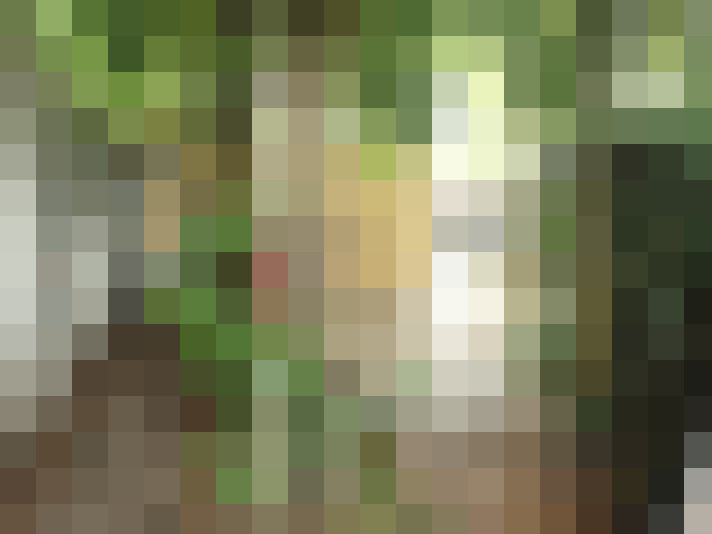  / #17