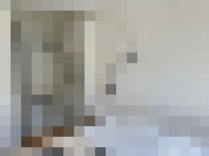  / #15