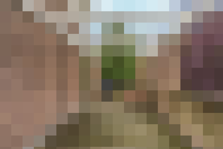  / #19