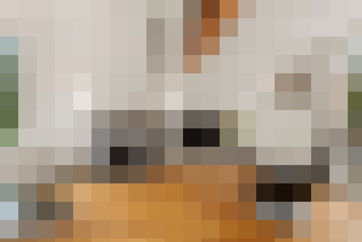  / #7