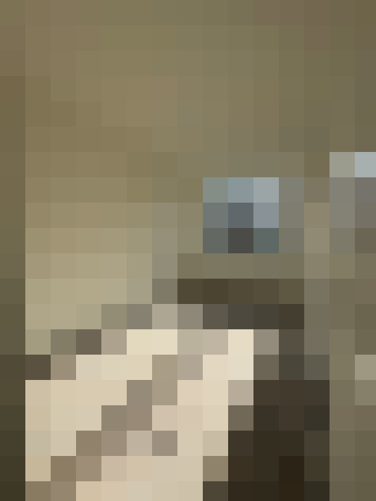  / #19