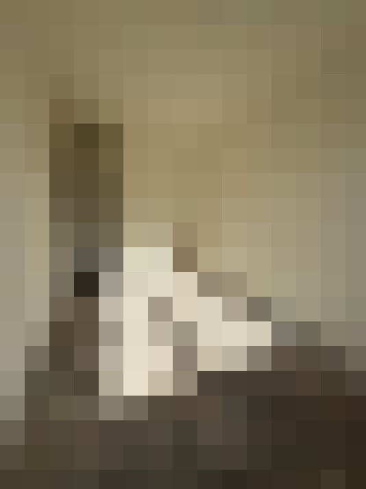  / #23