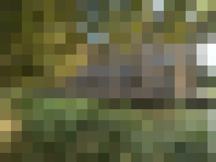  / #7