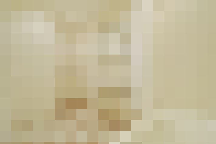 / #21