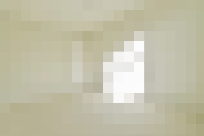  / #24