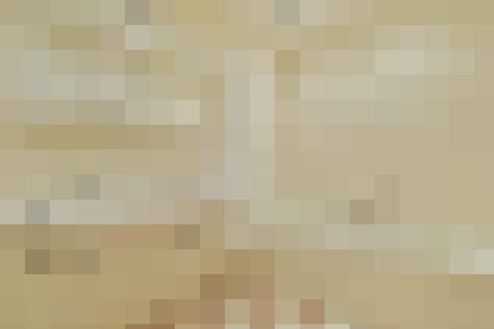  / #20