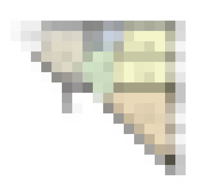  / #19