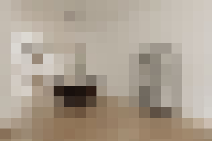  / #11