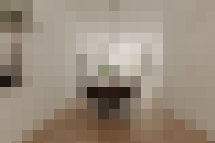  / #9