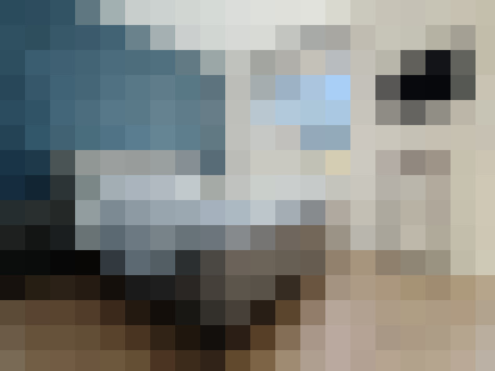 / #9
