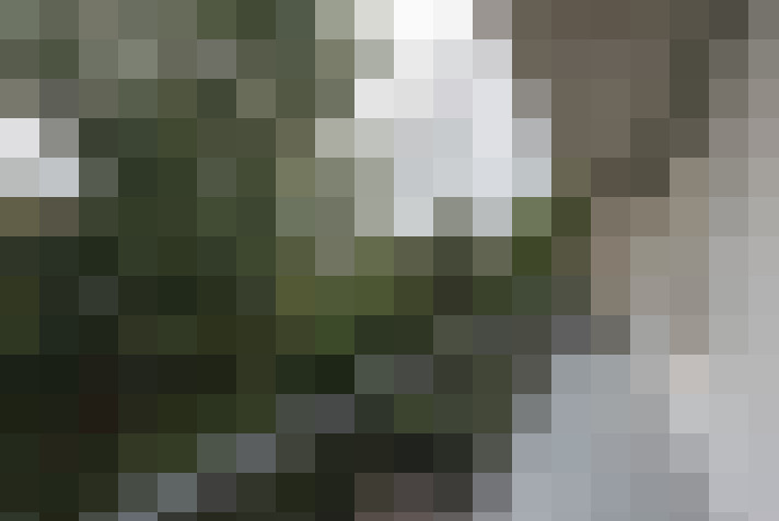  / #16