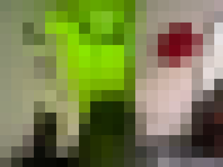  / #19