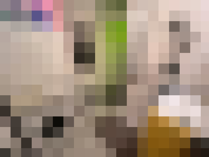  / #16