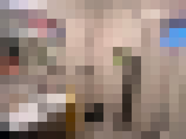  / #15