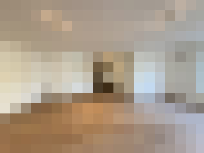  / #8