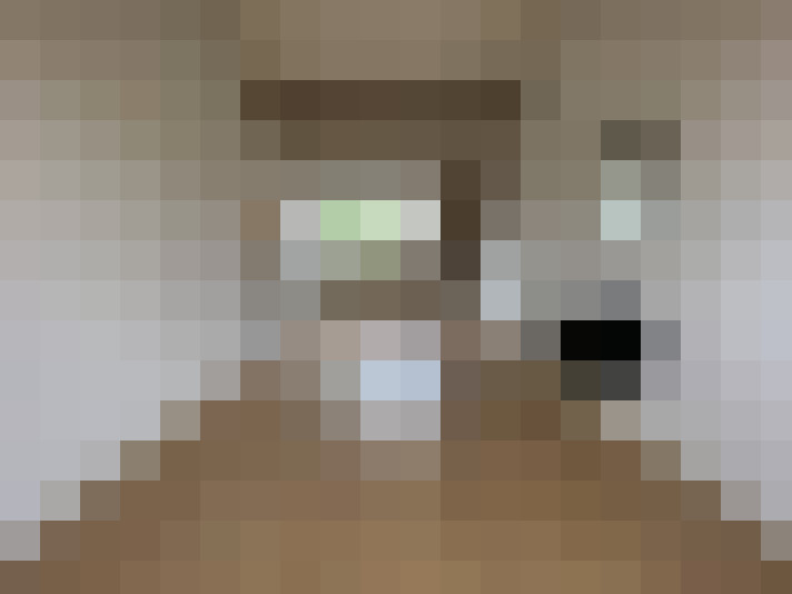  / #13