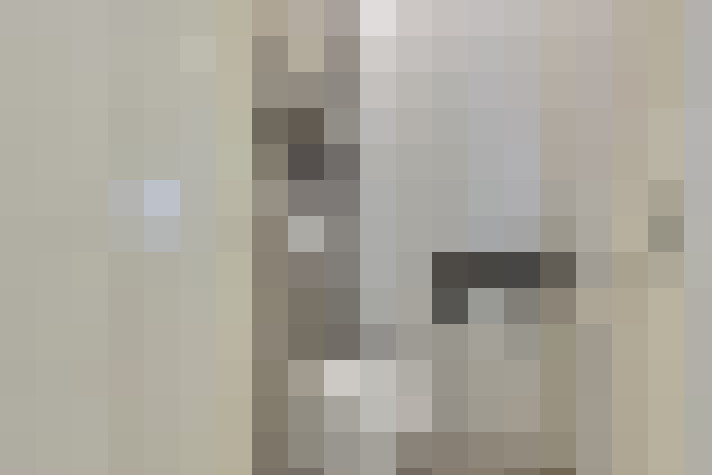  / #19