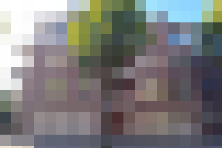  / #19