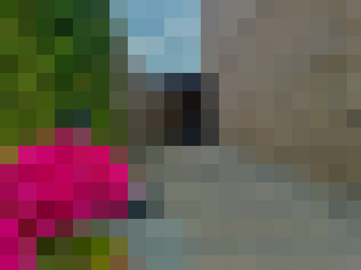  / #23