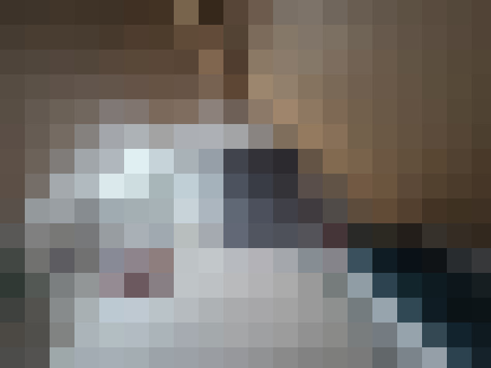  / #24