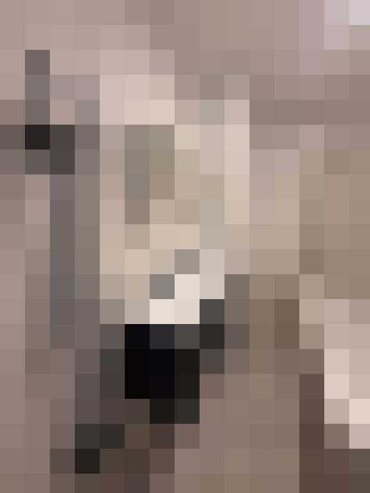  / #22