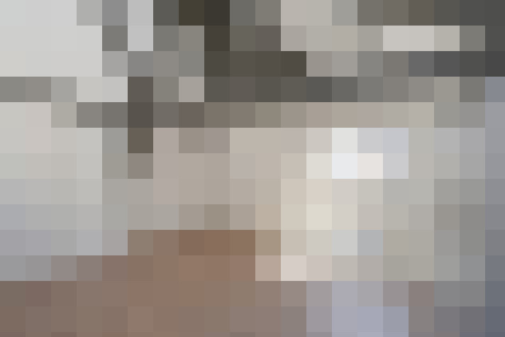  / #24