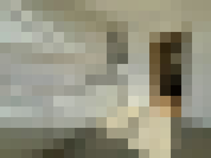  / #15