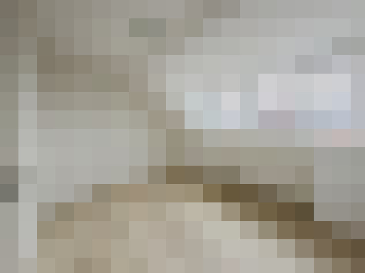  / #23