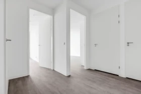 Apartment in Eindhoven