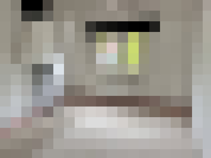  / #16