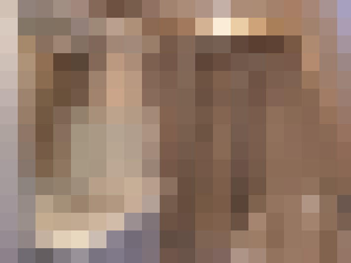  / #19