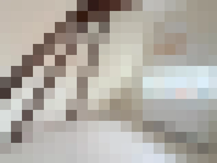  / #15