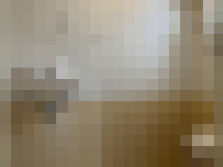  / #19