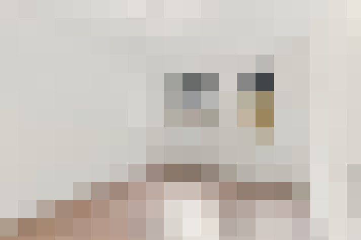  / #13