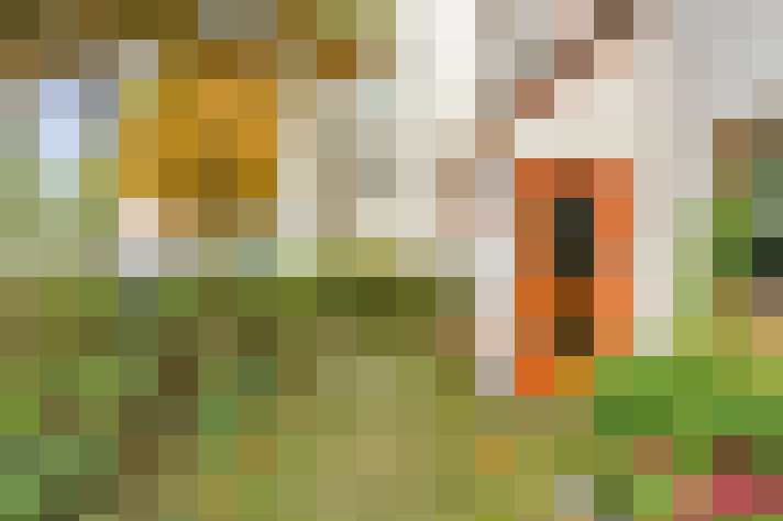  / #17