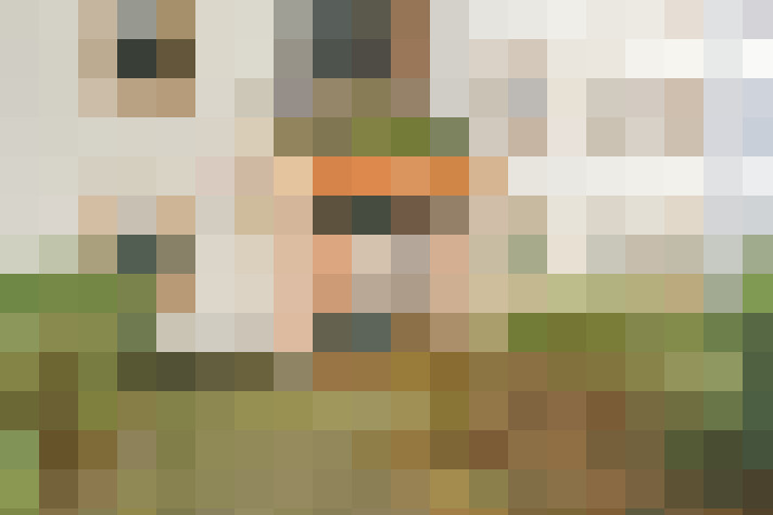  / #16