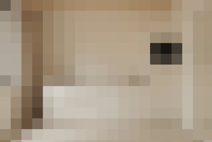  / #5
