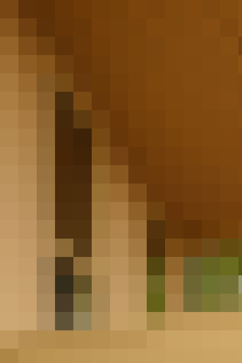  / #17