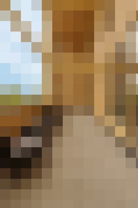  / #16