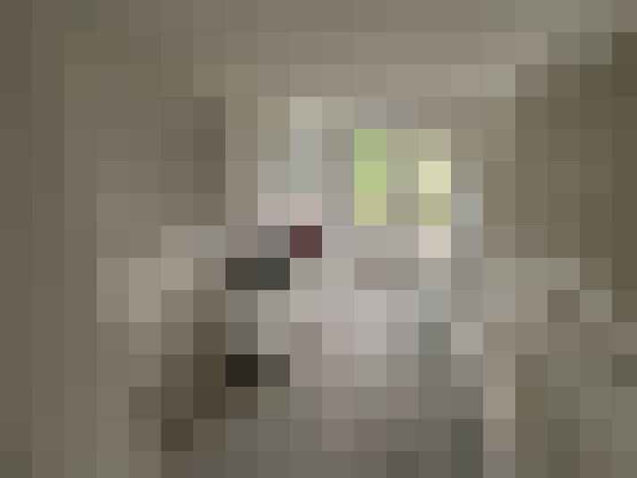  / #15