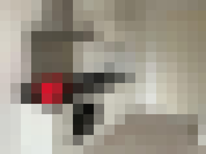  / #21