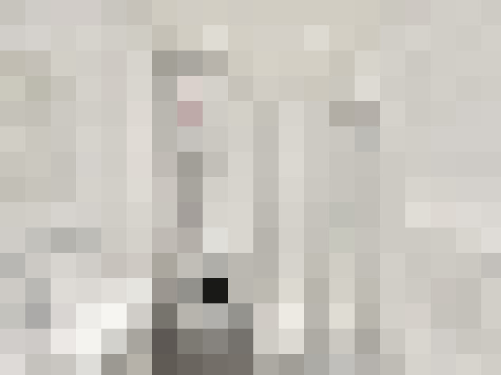  / #17