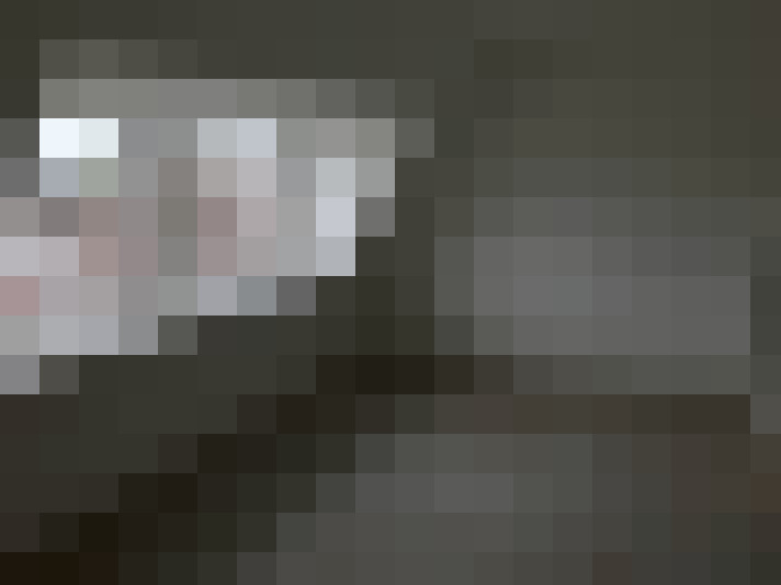  / #17