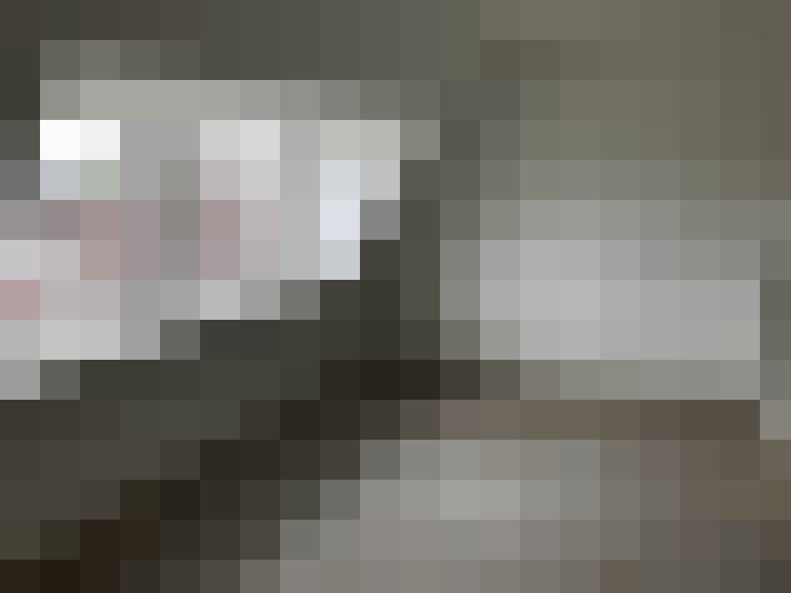  / #16