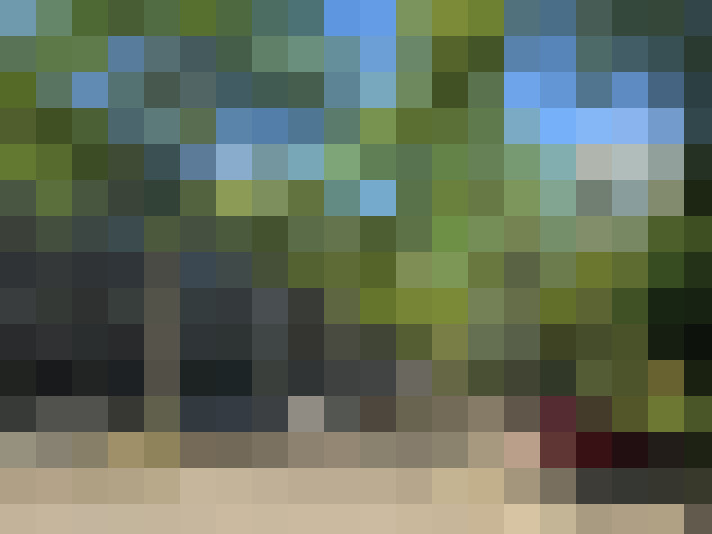  / #17