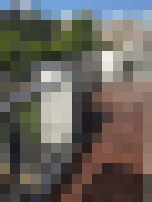  / #15