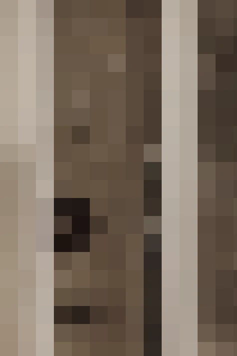  / #20