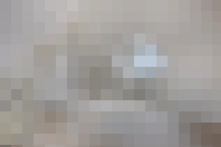  / #21