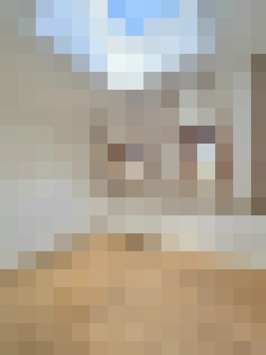  / #19
