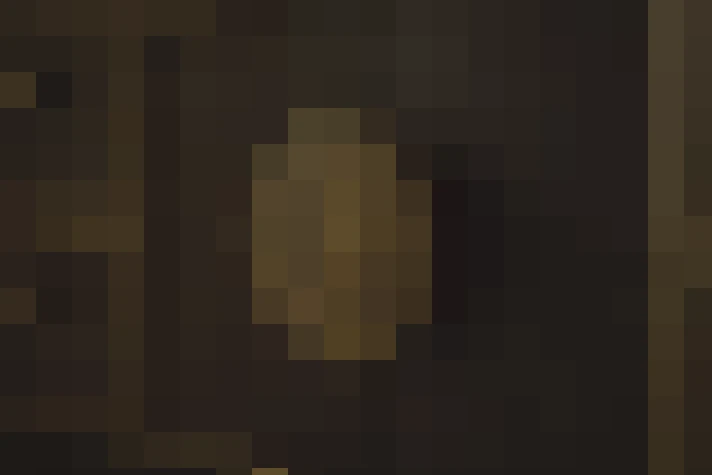  / #13